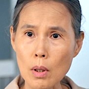 Shins Project-Kim Sook-In.jpg