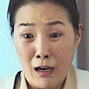 The Good Bad Mother - Wikipedia