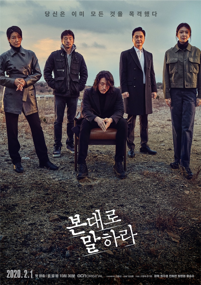 Tell Me What You Saw korean mystery series
