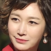 Diary of a Proseucutor-Pyeon Jung-Su.jpg