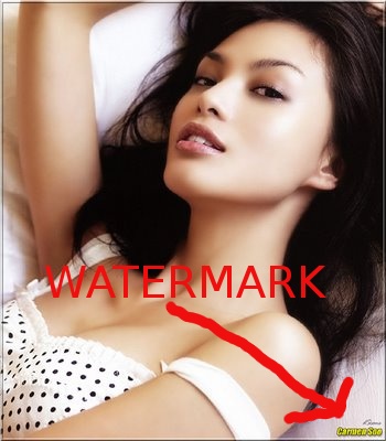 Carmen-soo-watermarkexample.jpg