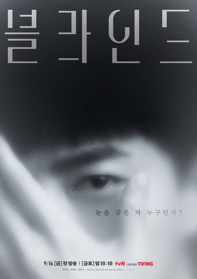 Blind Korean Drama-p1.jpg