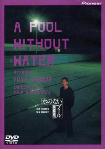 Apoolwithoutwater.jpg