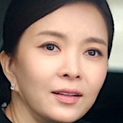 The Divorce Insurance-Shin Eun Jung.jpg
