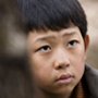 WinterButterlfy-Jung Seung-Won.jpg