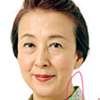 Hanayome-Gin Pun Chou.jpg