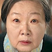 The Wonderfools-Kim Hae-Sook1.jpg
