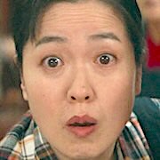 Jin Mi-Sa