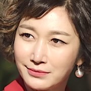 Diary of a Proseucutor-Pyeon Jung-Su1.jpg